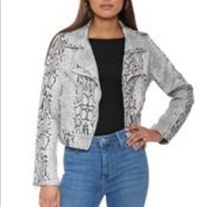 Decker Suede Snakeskin Moto Jacket